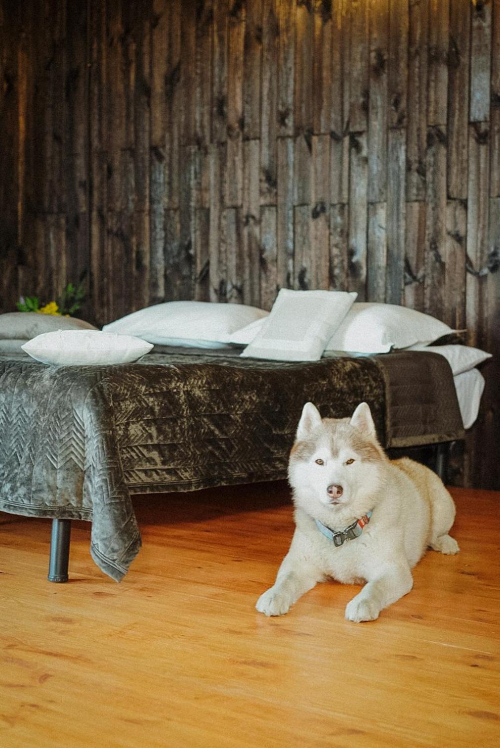 Долина Хюгге Hotel Chornomors'ke  Kültér fotó